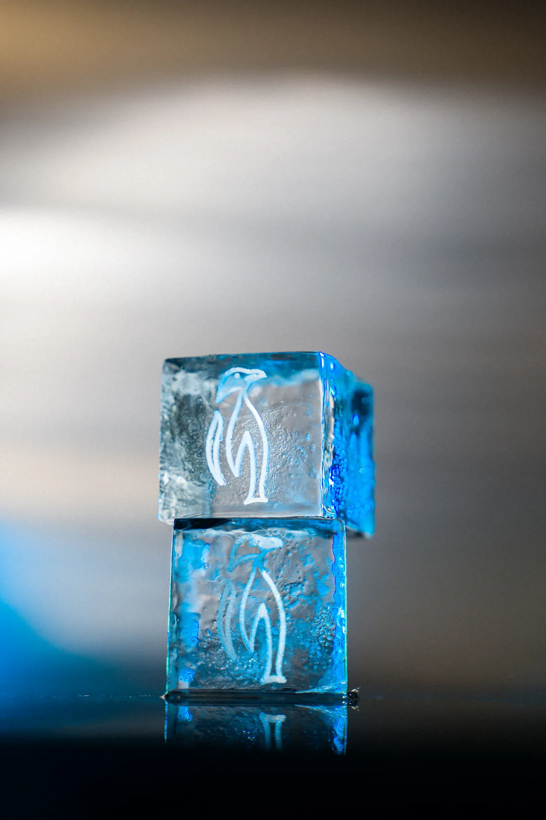 Deux glaçons cubes personnalisés avec le manchot emblématique des Manchots