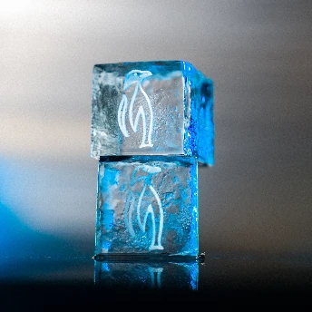 Glaçons personnalisés avec le logo des Manchots