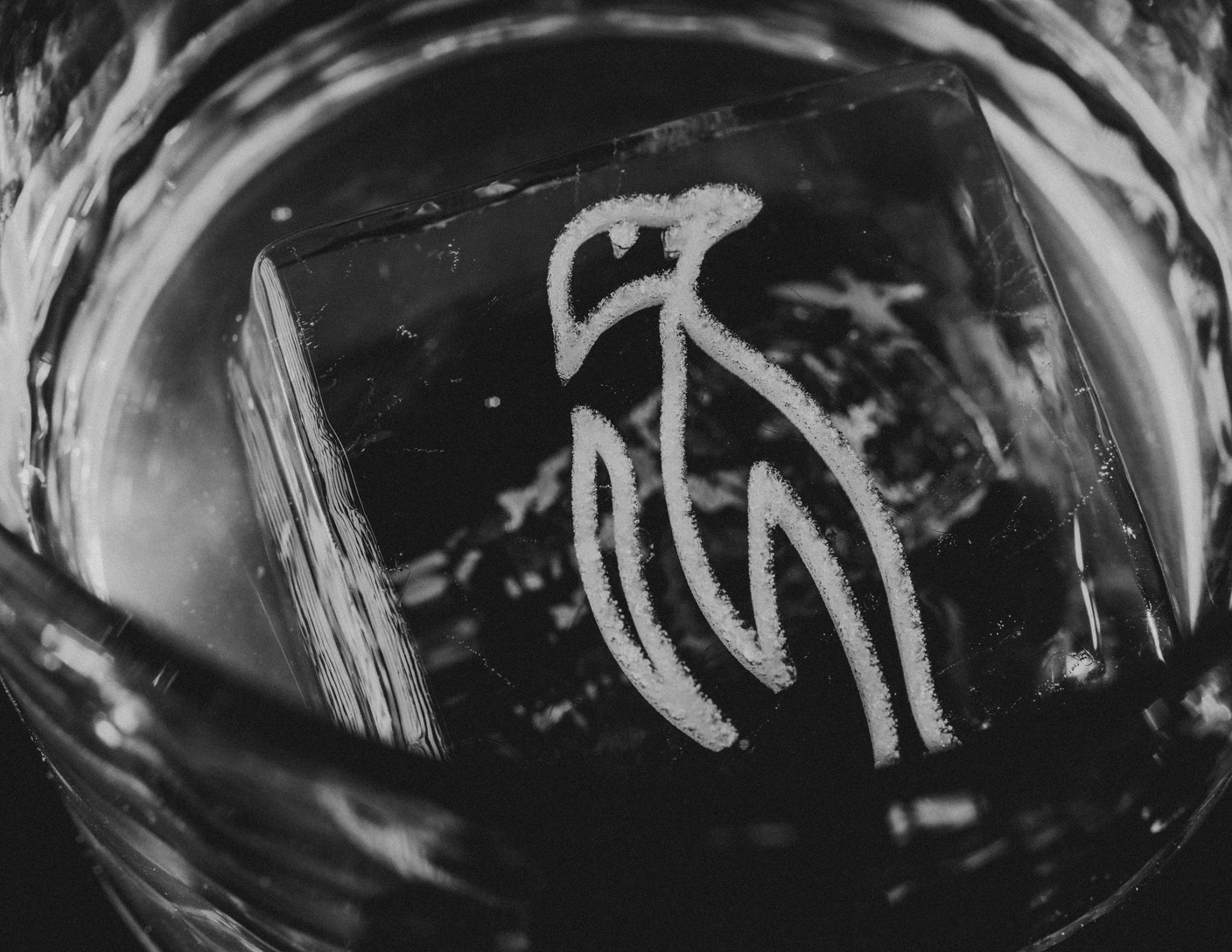 Glaçon Clear Ice gravé du symbole Les Manchots